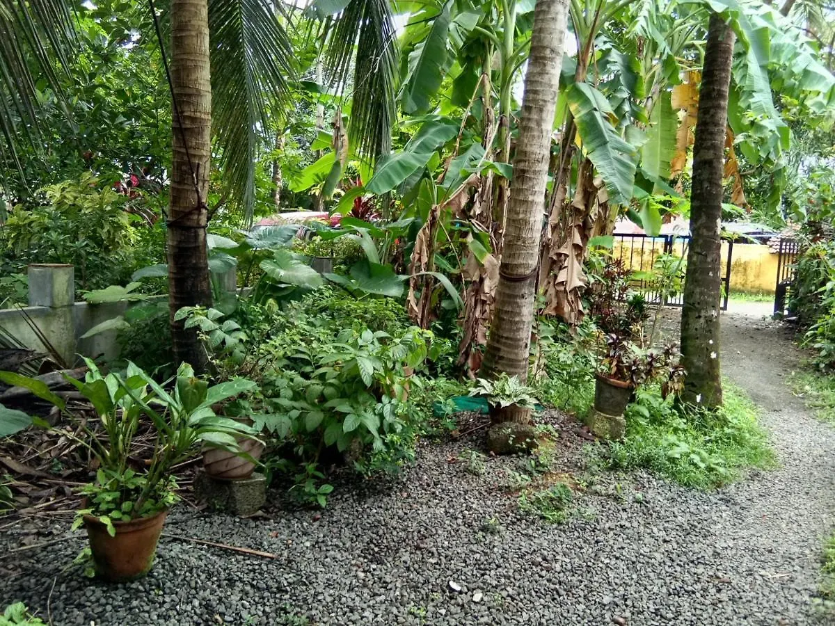 Coconut Grove Holiday home Kochi Homestay